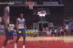 这体格配上这弹跳是人类？锡安当年火爆全世界的罚球线扣篮！